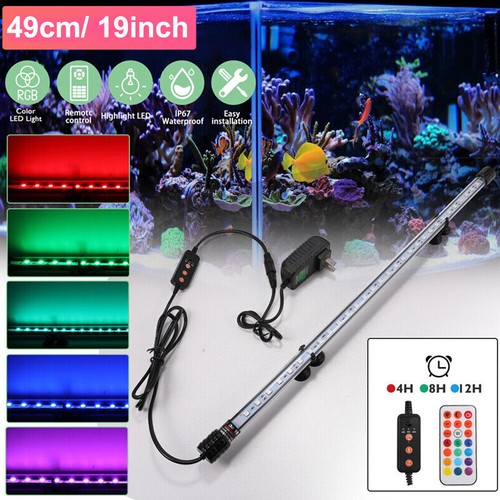 Aquarium underwater fish tank - fish,